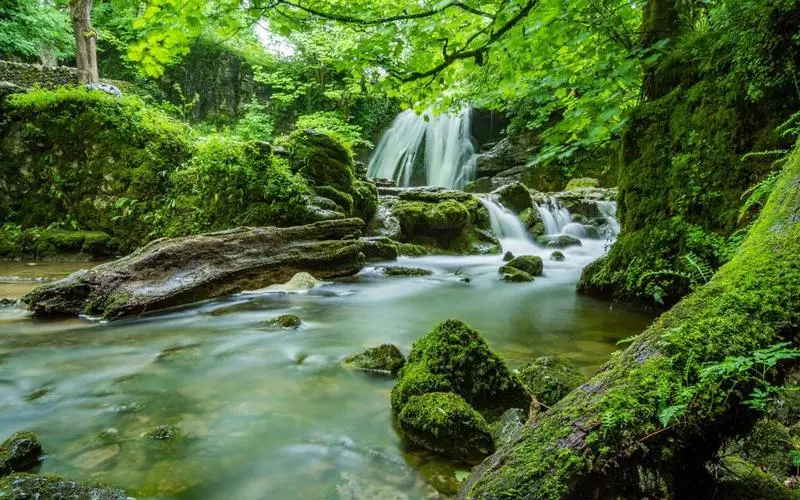 智能系统电子智能